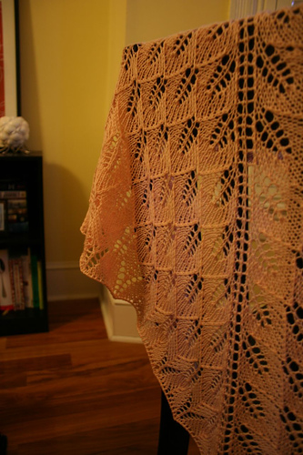 shawl1.jpg