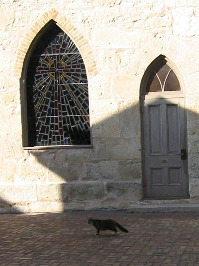 Just above the Arneson River Theater is La Villita, a cute little village of shops and restaurants.  Right in the middle of La Villita is The Little Church, this picture is of one of the windows in the back.
